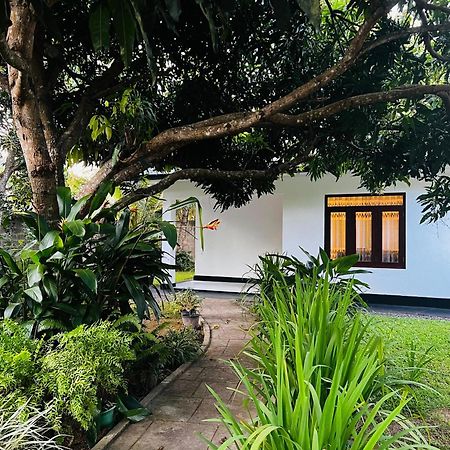 فيلا The Mango Retreat ميريسا المظهر الخارجي الصورة